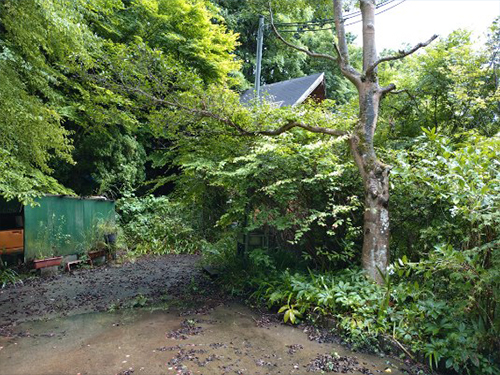 田舎暮らしに最適なログハウス