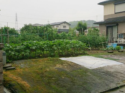 静かな住宅街・建築条件なし売土地